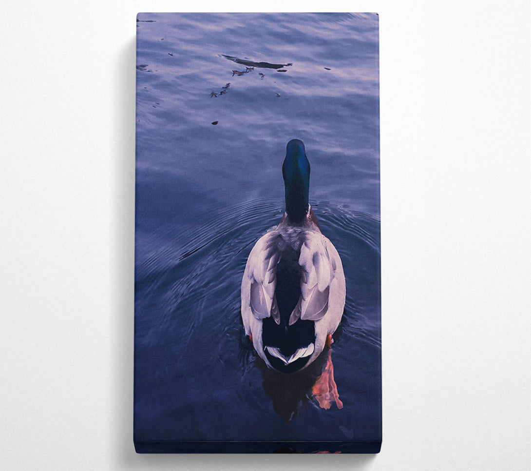  A Canvas Print of Azure Duck Dive Canvas Print
