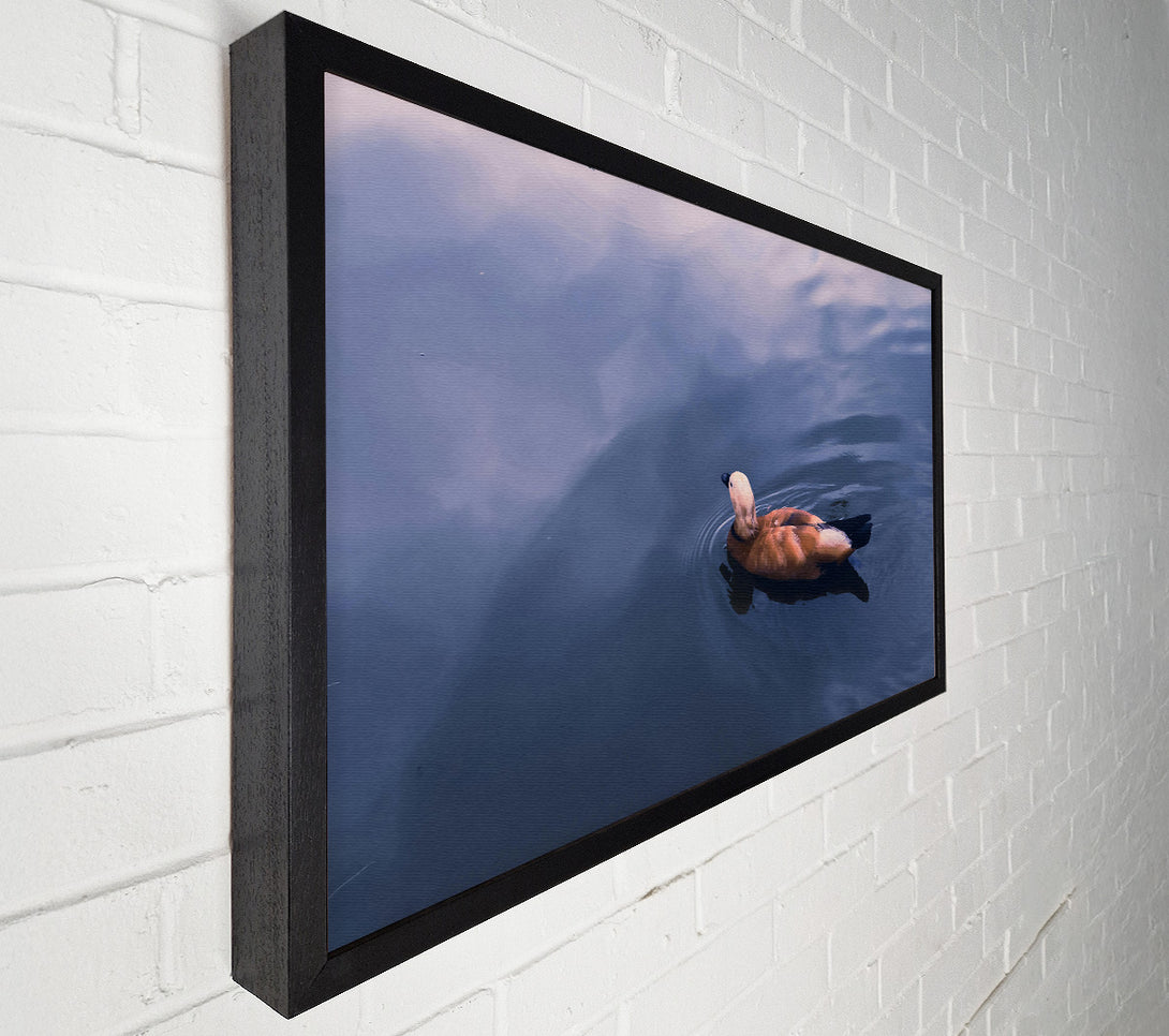  A Canvas Print of Azure Duck Serenity Canvas Art