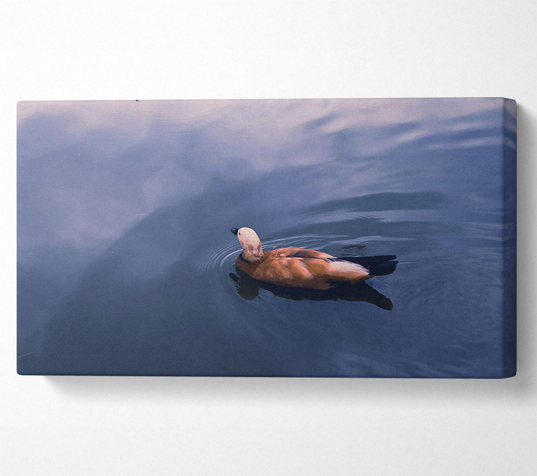  A Canvas Print of Azure Duck Serenity Canvas Art