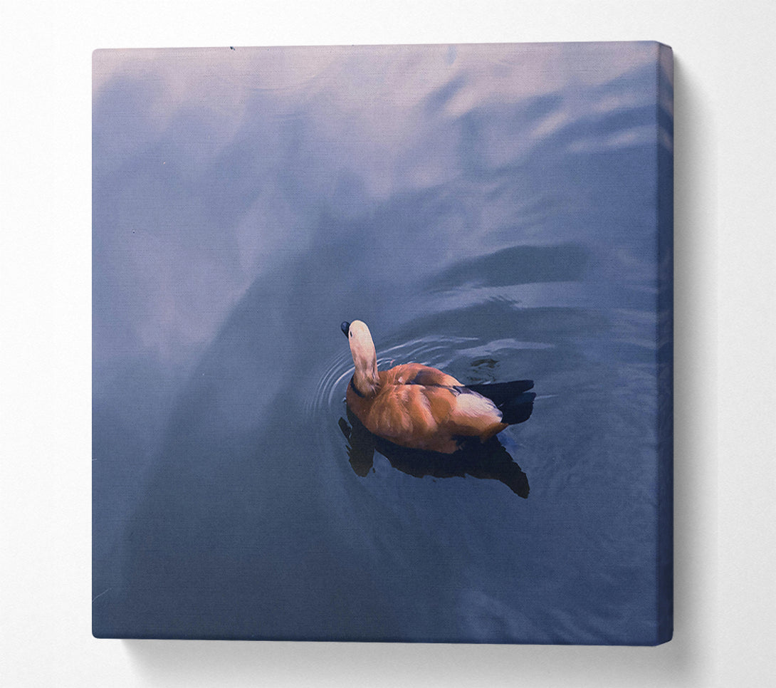  A Canvas Print of Azure Duck Serenity Canvas Art