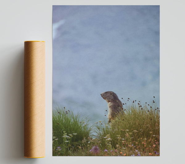 Blue Sky Marmot Poster