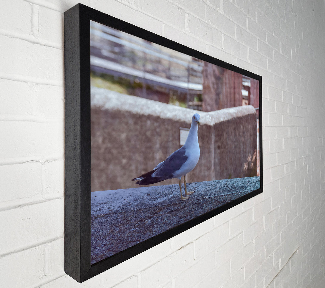  A Canvas Print of The Blue Seagull'S Gaze. Canvas Art