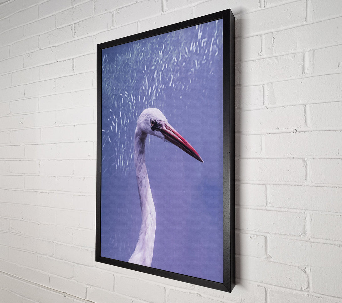  A Canvas Print of Lavender Heron Grace Canvas Art