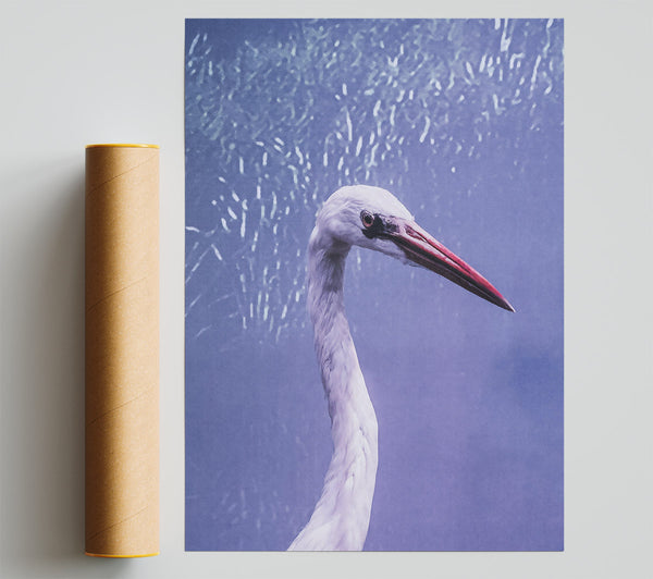 Lavender Heron Grace Poster