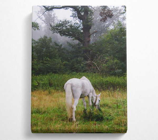  A Canvas Print of White Horse In The Mist Canvas Wall Art