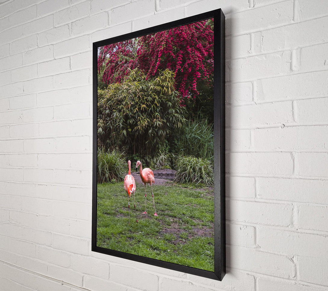  A Canvas Print of Pink Flamingo Sojourn Canvas Art