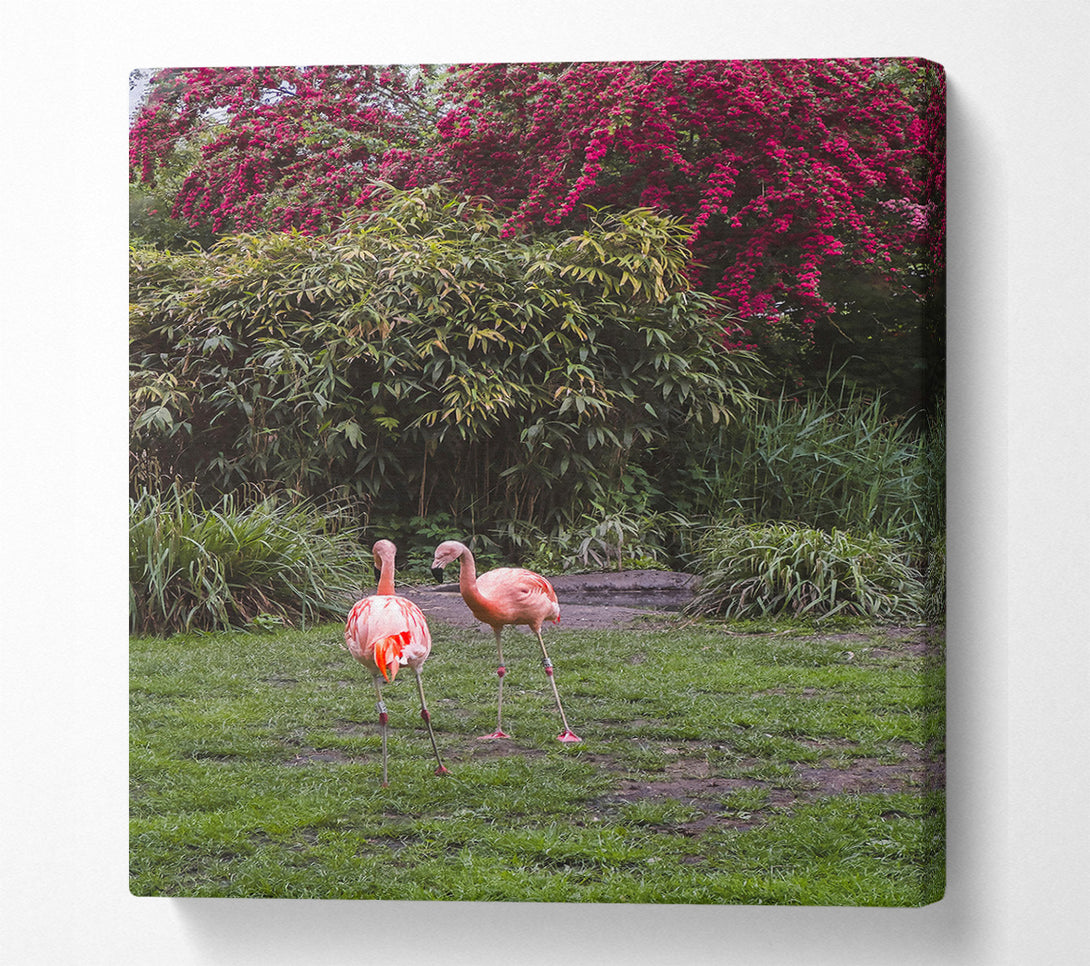 A Canvas Print of Pink Flamingo Sojourn Canvas Art
