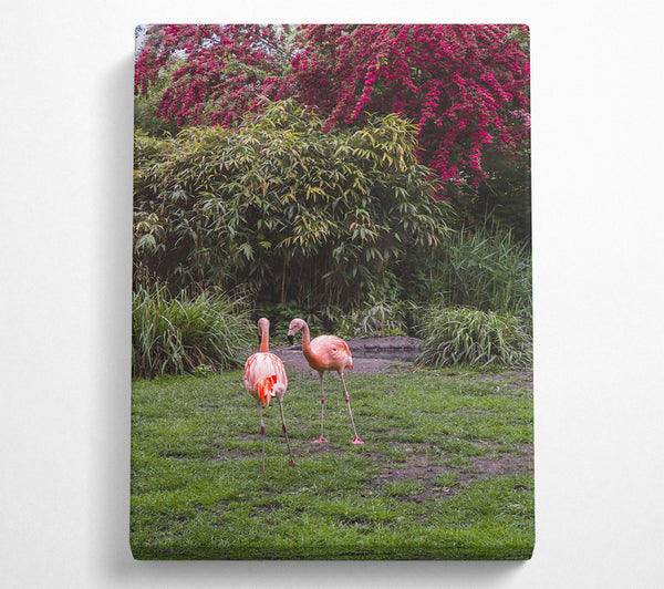  A Canvas Print of Pink Flamingo Sojourn Canvas Art