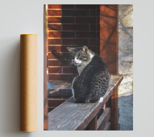 Brown Cat On Railing Giclee Print