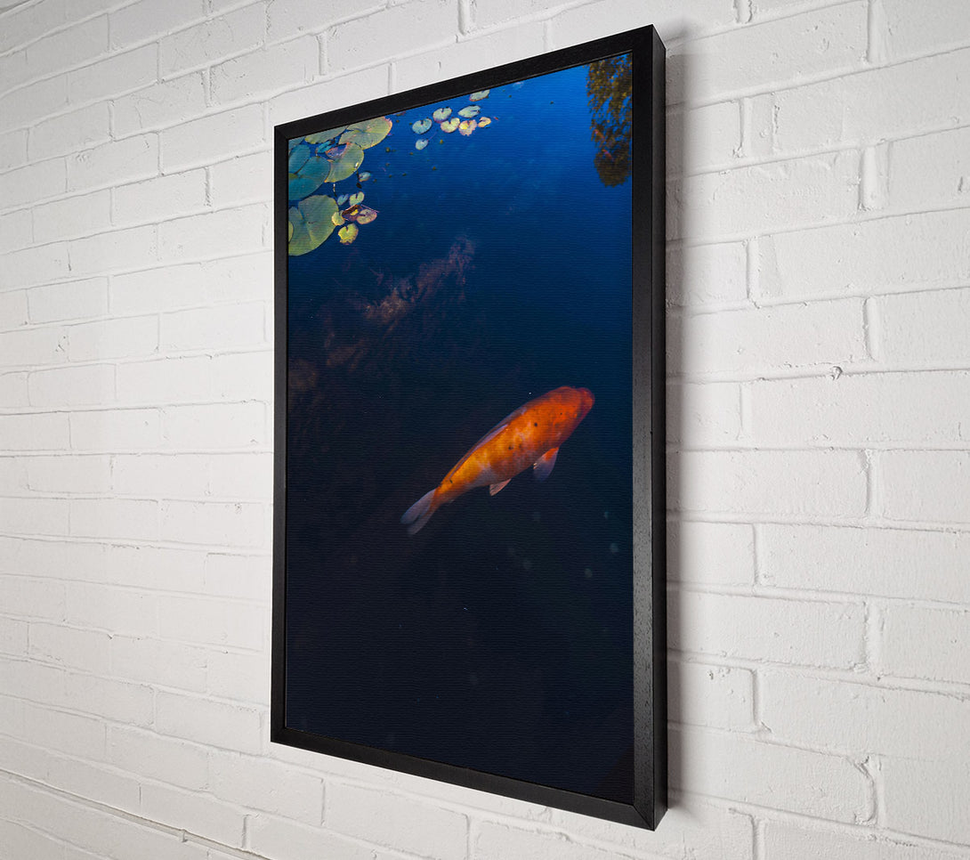  A Canvas Print of Orange Koi Below Blue Water Canvas Art