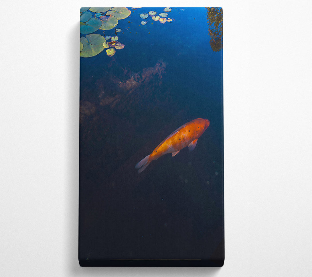  A Canvas Print of Orange Koi Below Blue Water Canvas Art