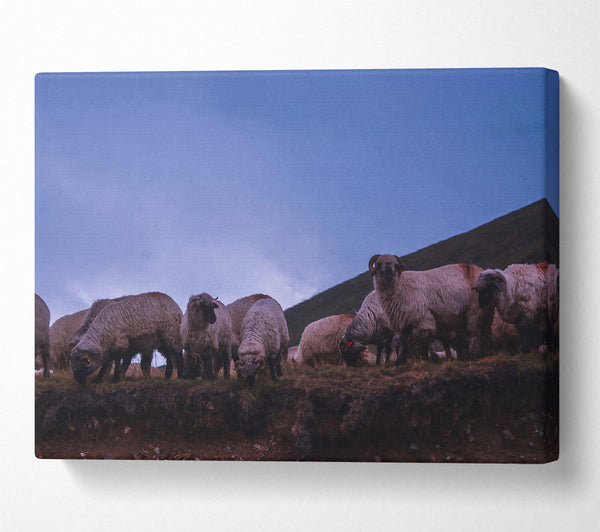  A Canvas Print of Blue Dusk Flock Canvas Wall Art