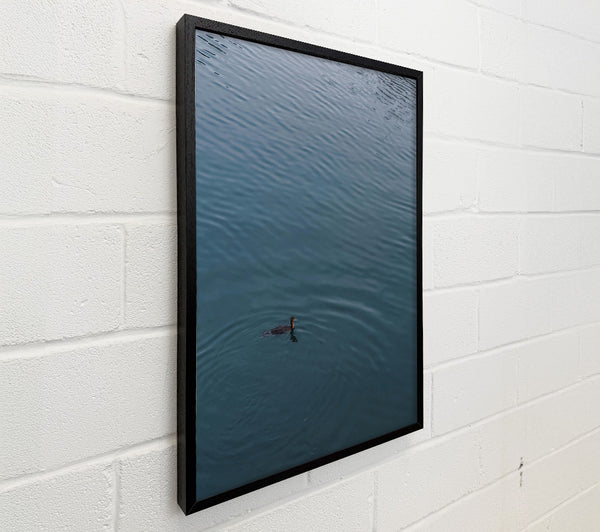 Teal Water Solitude