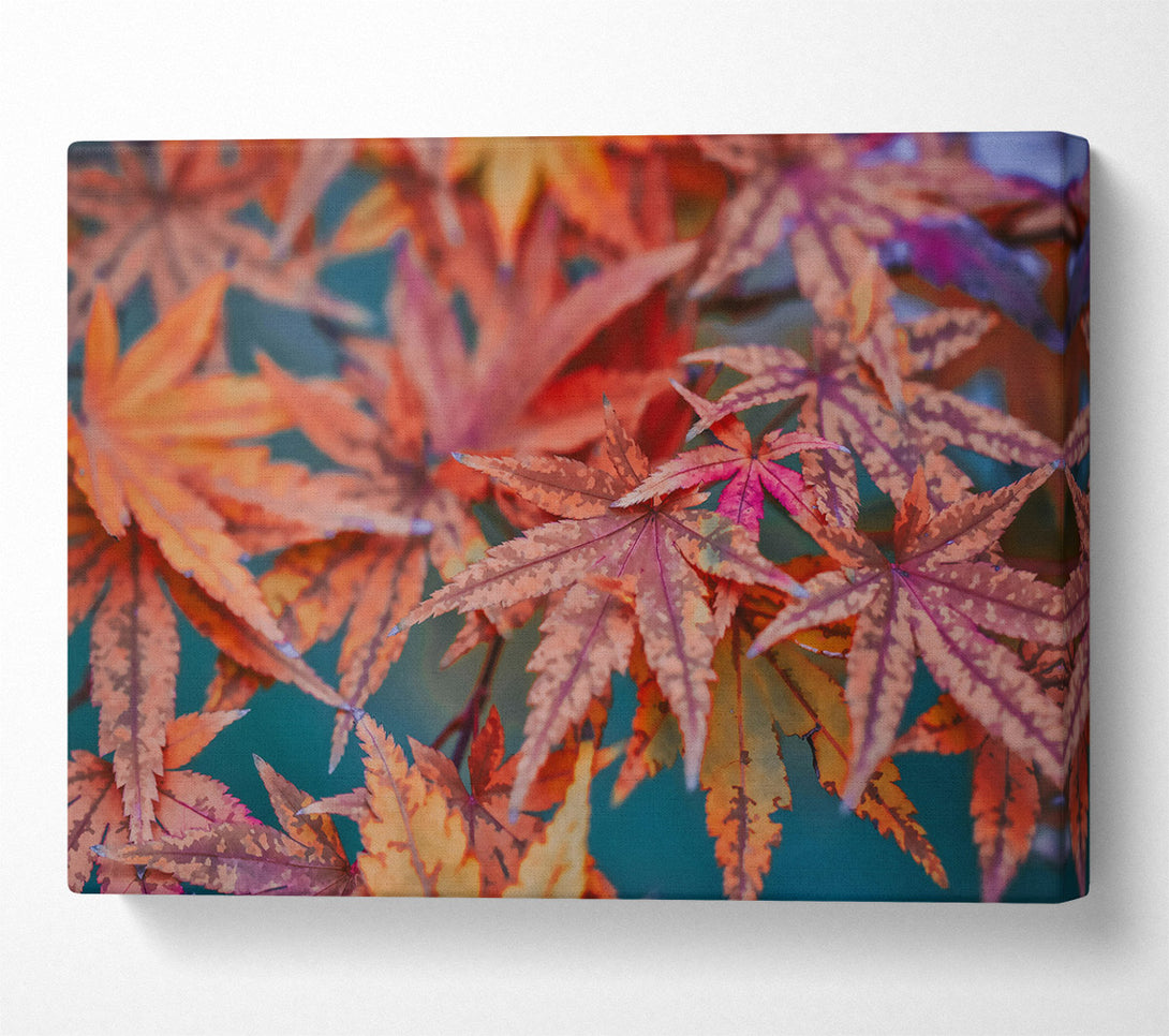  A Canvas Print of Crimson Autumn Leaves Canvas Wall Art