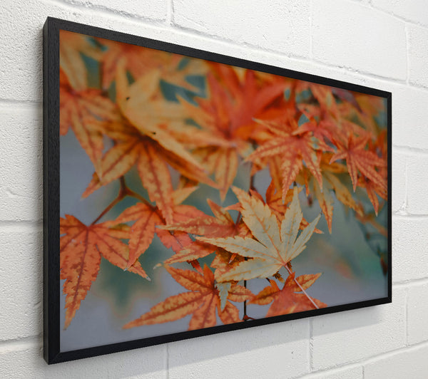 Autumn'S Orange Embrace