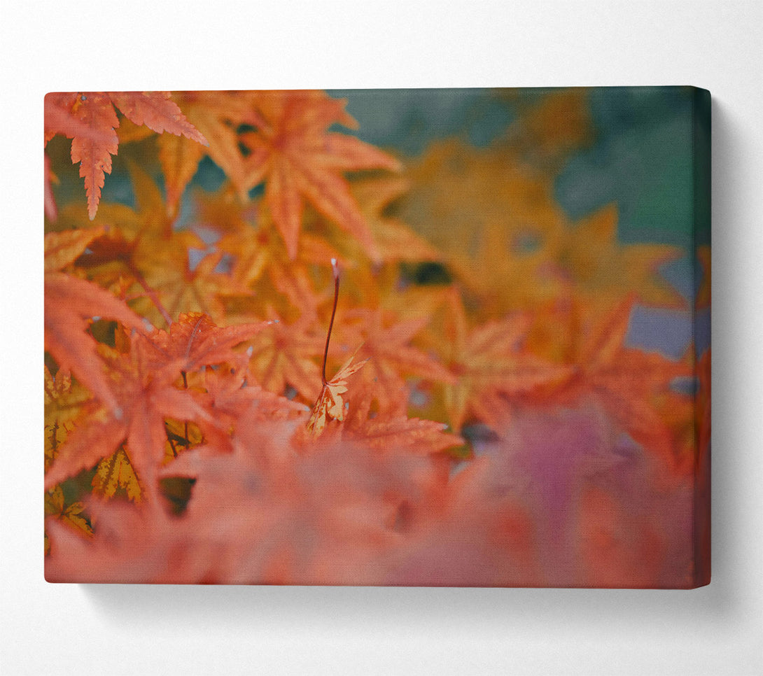  A Canvas Print of Crimson Autumn Leaves Canvas Wall Art