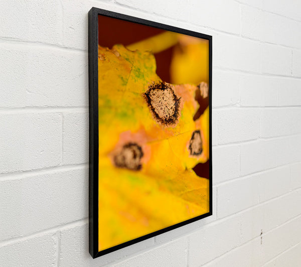 Golden Autumn Spots