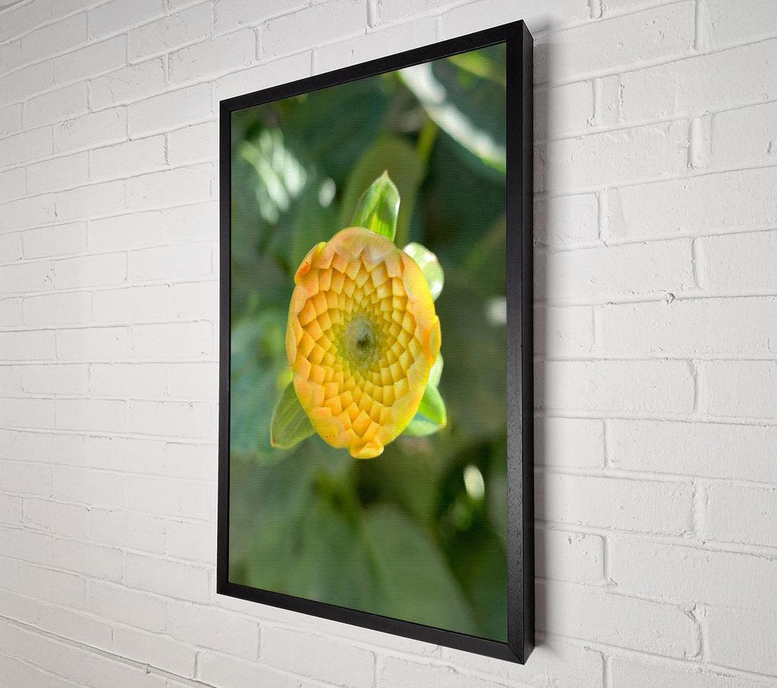  A Canvas Print of Golden Budding Bloom Canvas Art