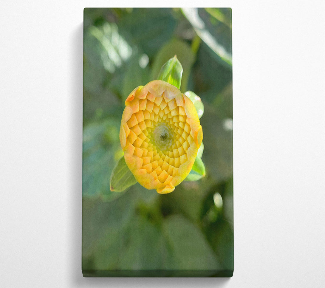 A Canvas Print of Golden Budding Bloom Canvas Art