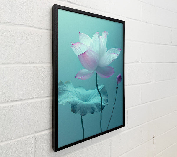 Pink Flower On Green