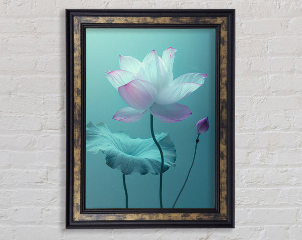 Pink Flower On Green Framed Print