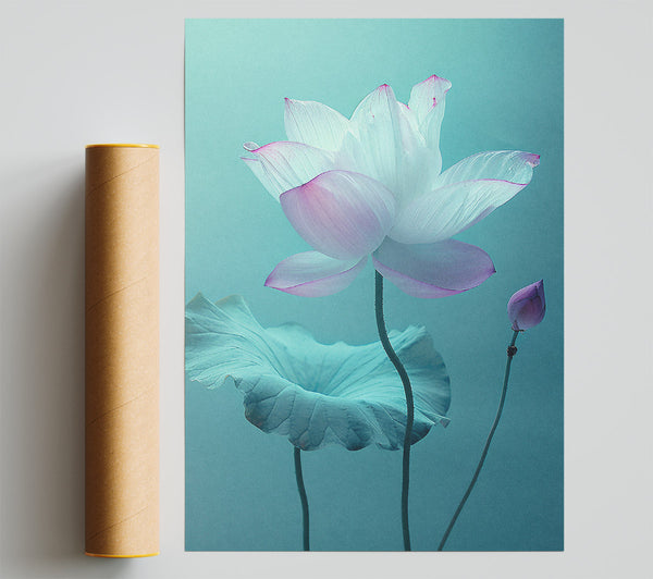 Pink Flower On Green Giclee Print