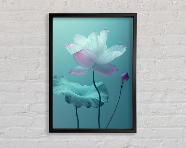Pink Flower On Green Framed Print