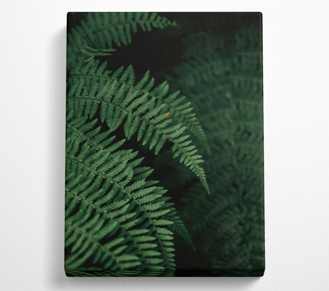  A Canvas Print of Emerald Fern Fronds Canvas Art
