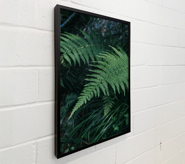 Emerald Forest Fronds