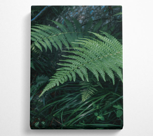  A Canvas Print of Emerald Forest Fronds Canvas Wall Art