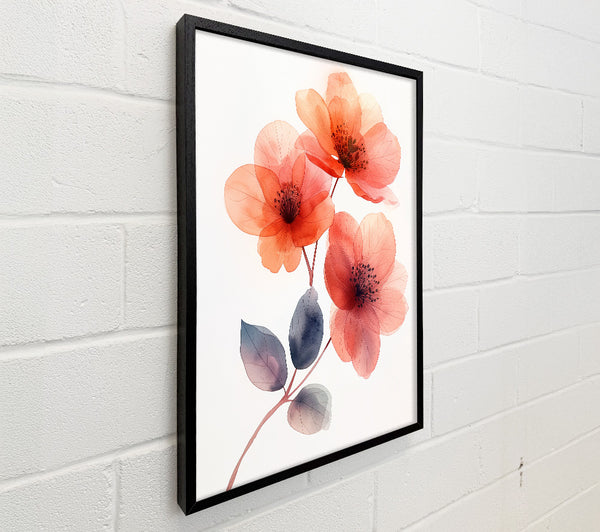 Pink Flowers On White