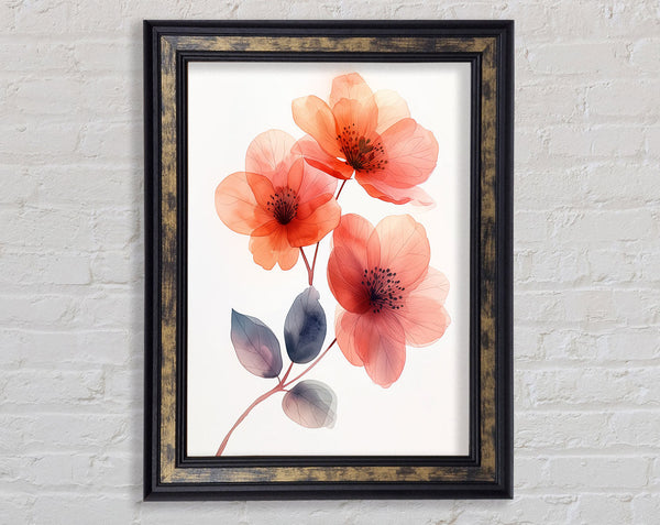 Pink Flowers On Walnut Framed Print