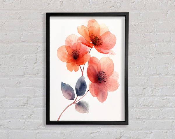 Pink Flowers On White Framed Print
