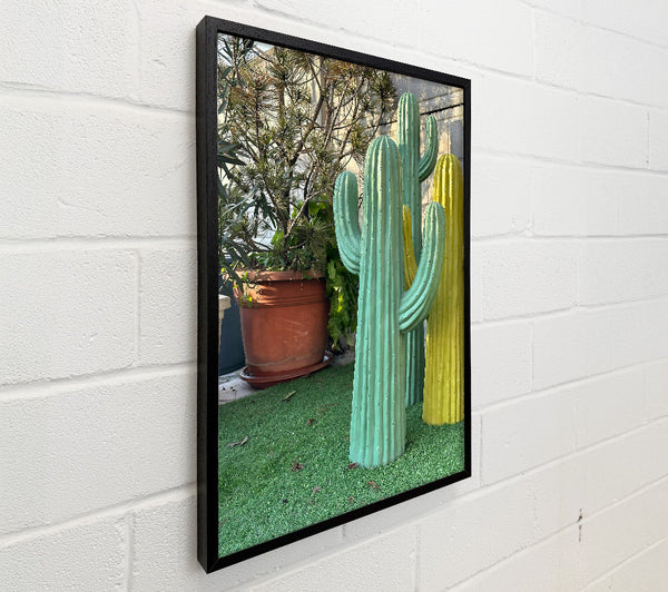 Aqua Cactus Trio