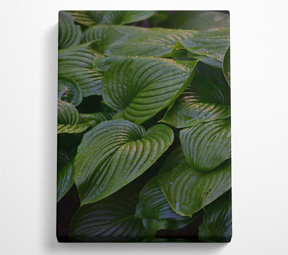  A Canvas Print of Emerald Leaf Embrace Canvas Art