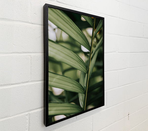 Emerald Green Fronds