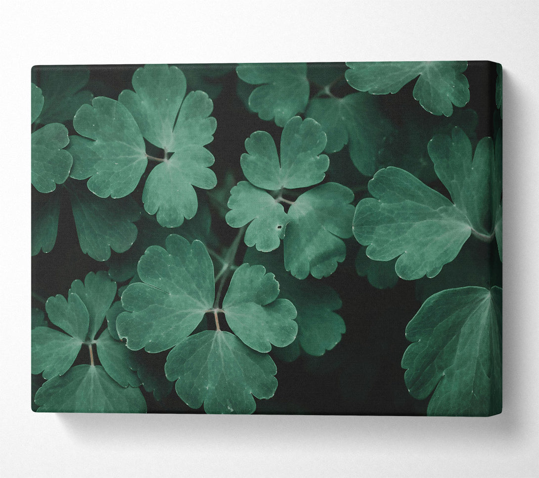  A Canvas Print of Emerald Green Leaves Canvas Print