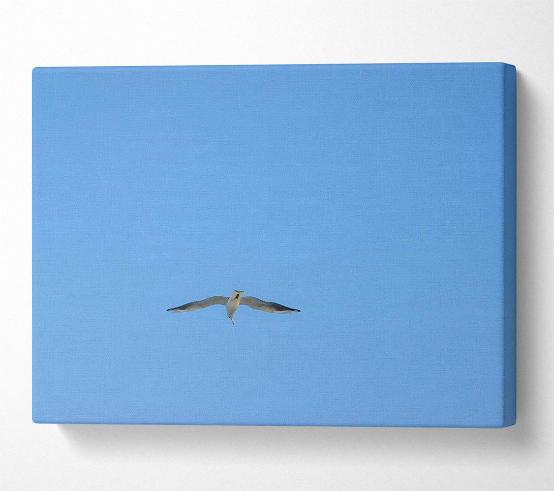  A Canvas Print of Blue Sky Flight Canvas Wall Art