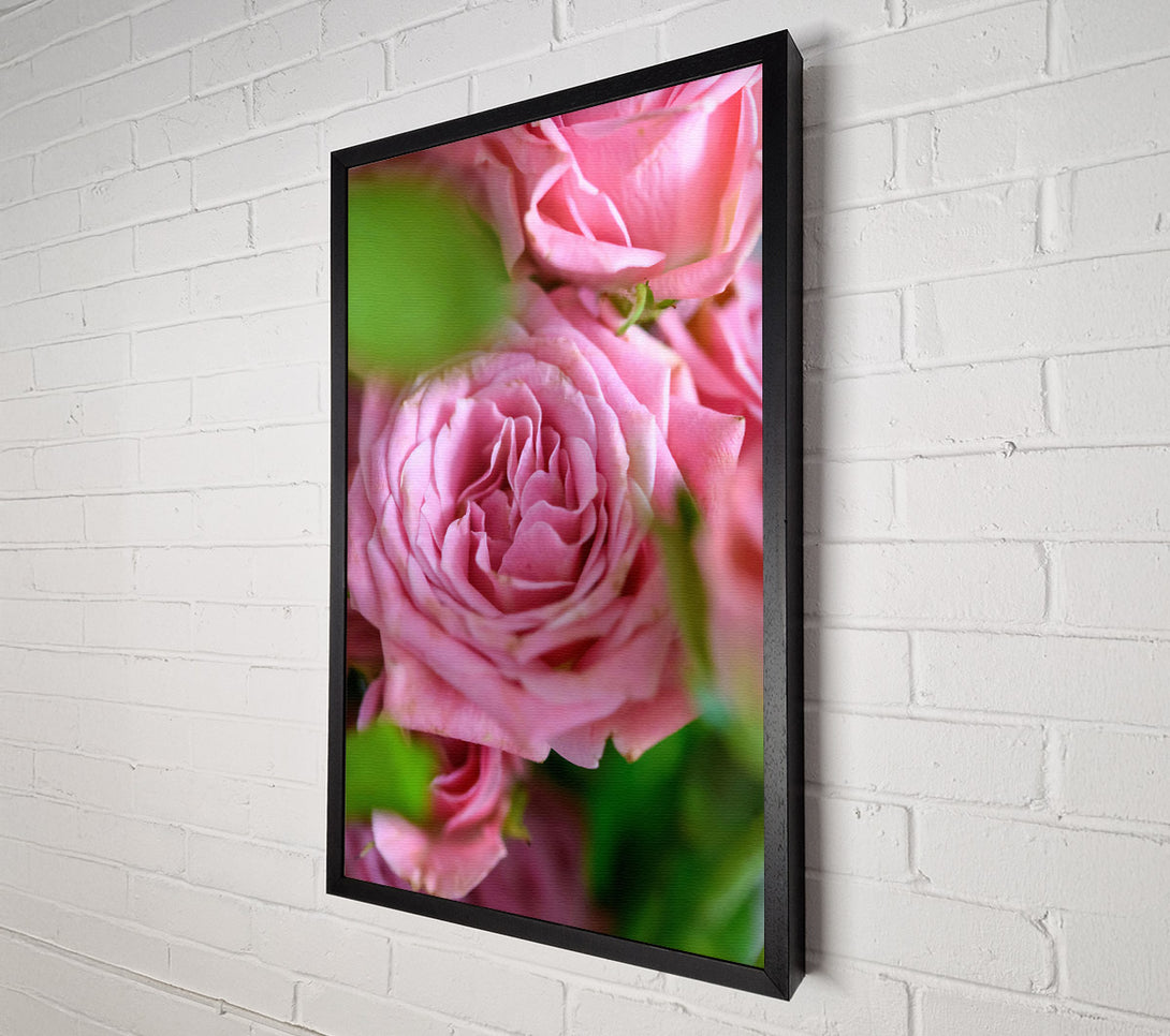  A Canvas Print of Pale Pink Petals Canvas Wall Art