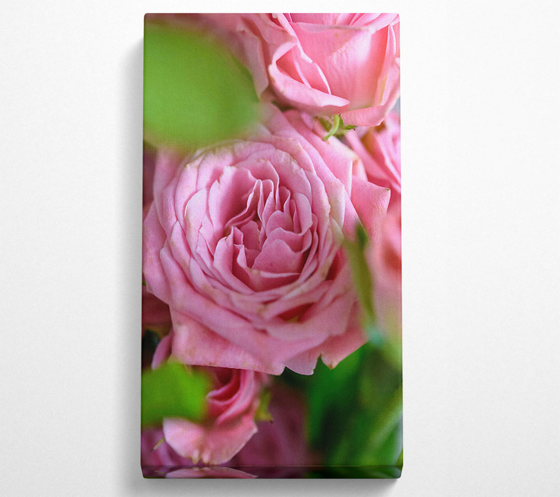  A Canvas Print of Pale Pink Petals Canvas Wall Art
