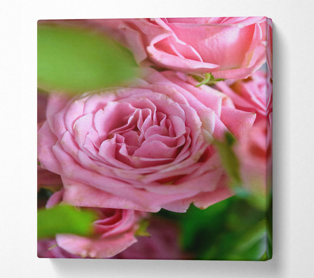  A Canvas Print of Pale Pink Petals Canvas Wall Art
