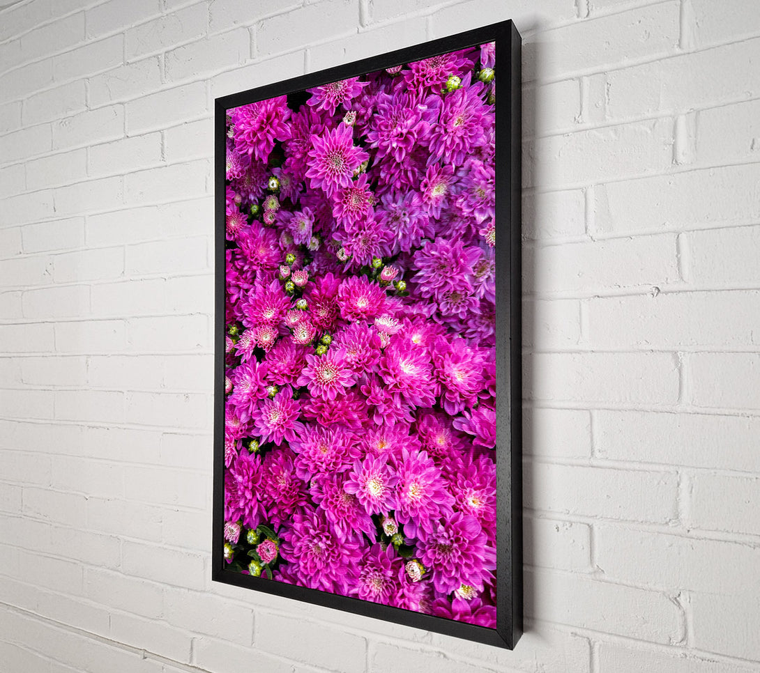  A Canvas Print of Fuchsia Floral Delight Canvas Art