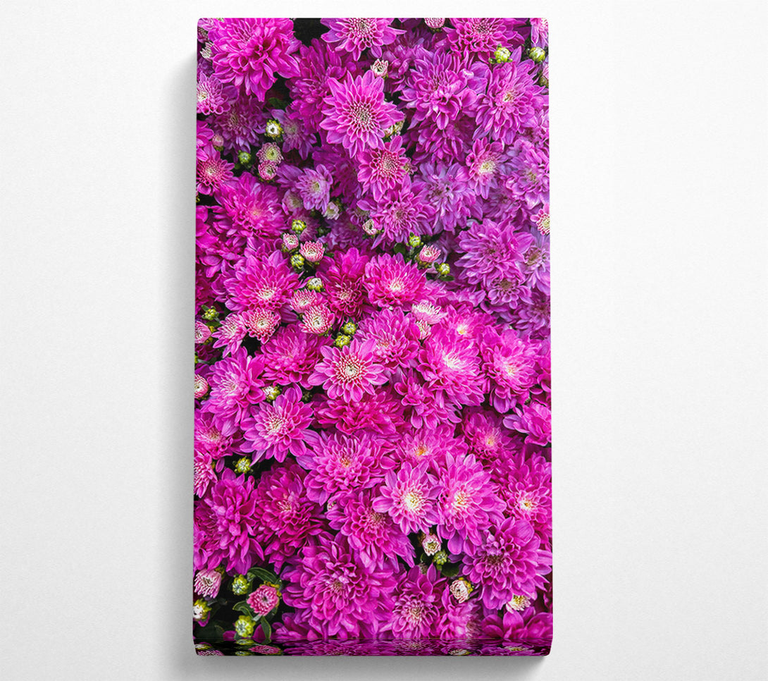  A Canvas Print of Fuchsia Floral Delight Canvas Art