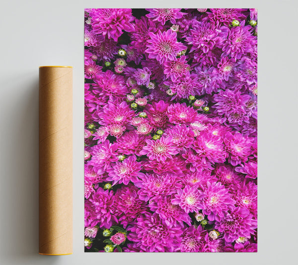 Fuchsia Floral Delight Poster