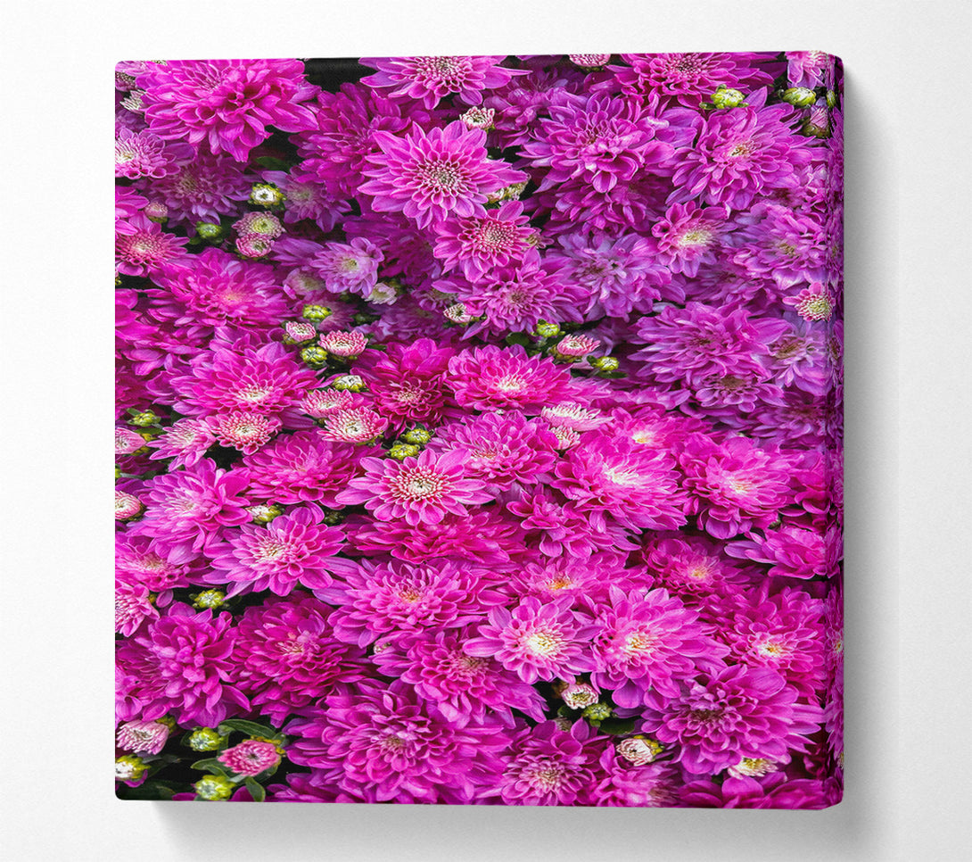  A Canvas Print of Fuchsia Floral Delight Canvas Art