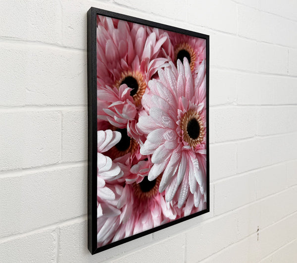 Pink Blooms Clustered