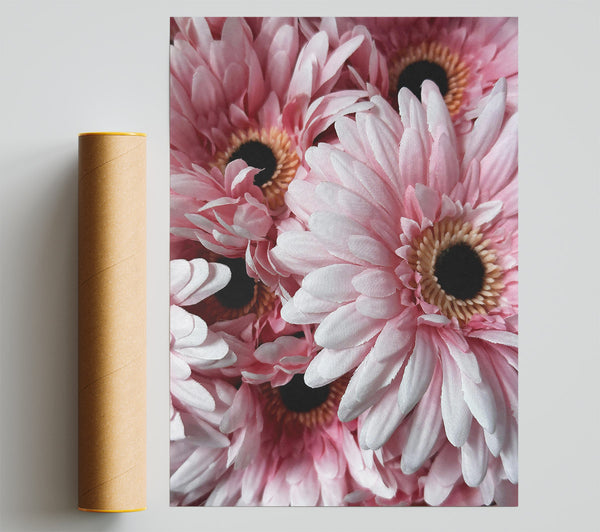 Pink Blooms Clustered Print