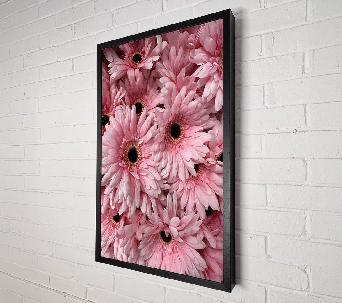  A Canvas Print of Blush Gerbera Blooms Canvas Wall Art