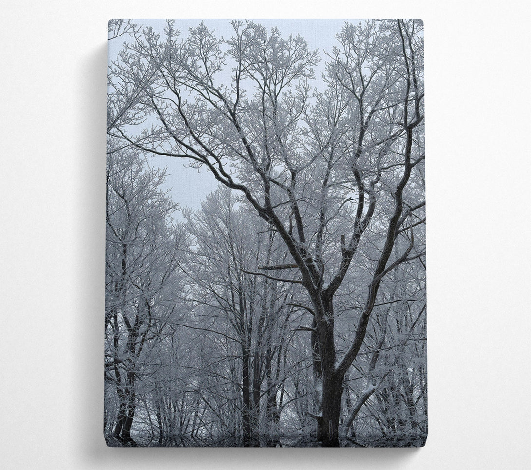 A Canvas Print of Loading... Canvas Print