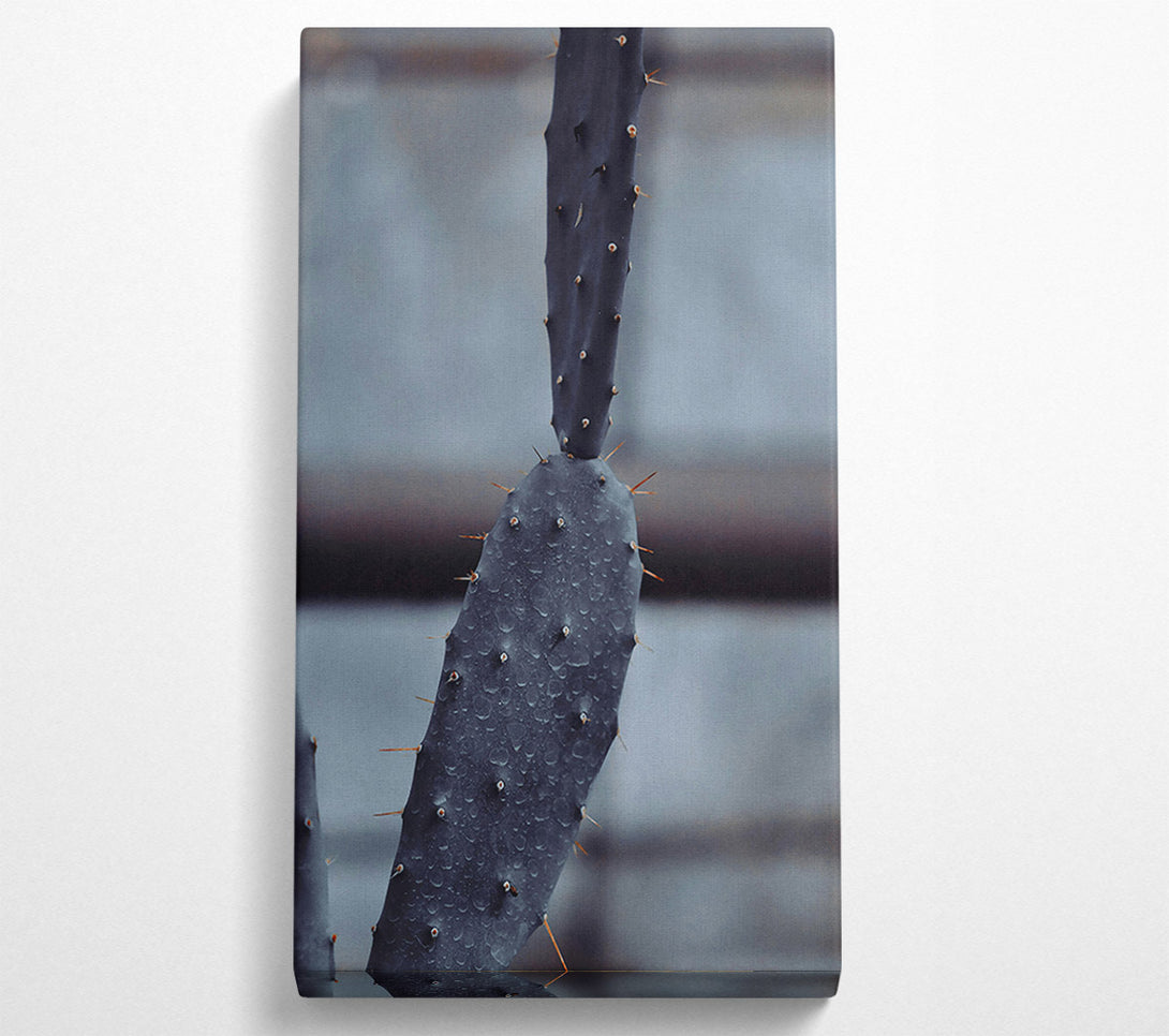  A Canvas Print of Black Cactus After Rain Canvas Art